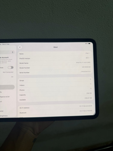iPad