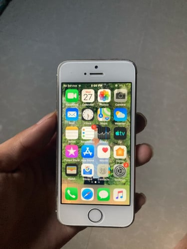 iPhone 5s