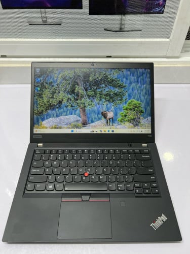 Lenovo ThinkPad T495