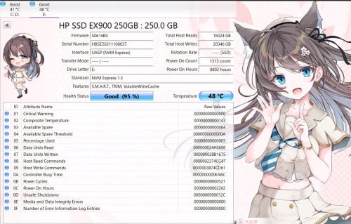 M.2 HP 250GB