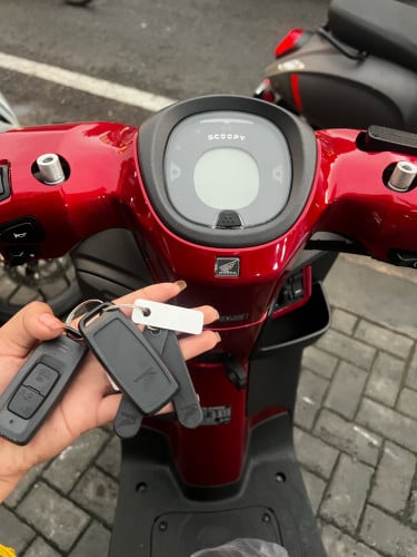 Scoopy
