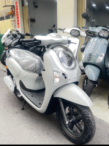 Scoopy
