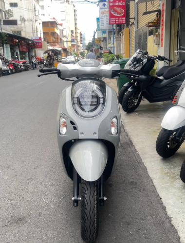 Scoopy