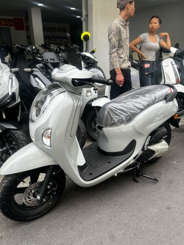 Scoopy
