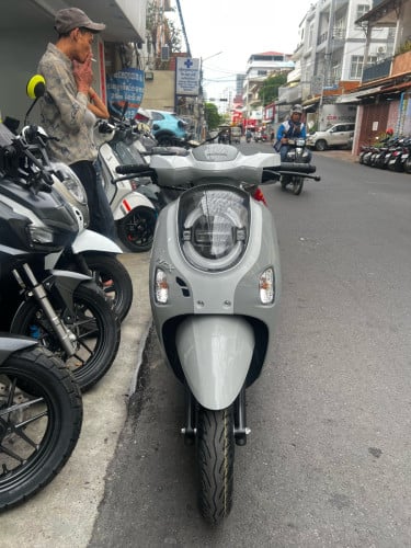 Scoopy