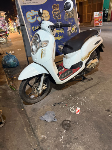 Scoopy