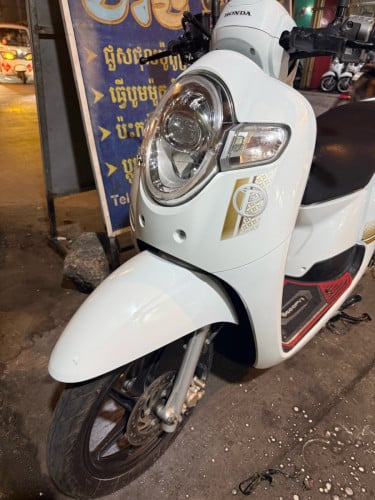 Scoopy