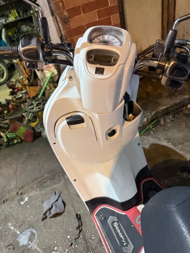 Scoopy