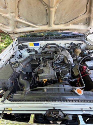 Tacoma 1999 ប៉ុង1v4 ឡានសានុំ លក់ធូធូ 👍🏻🤍