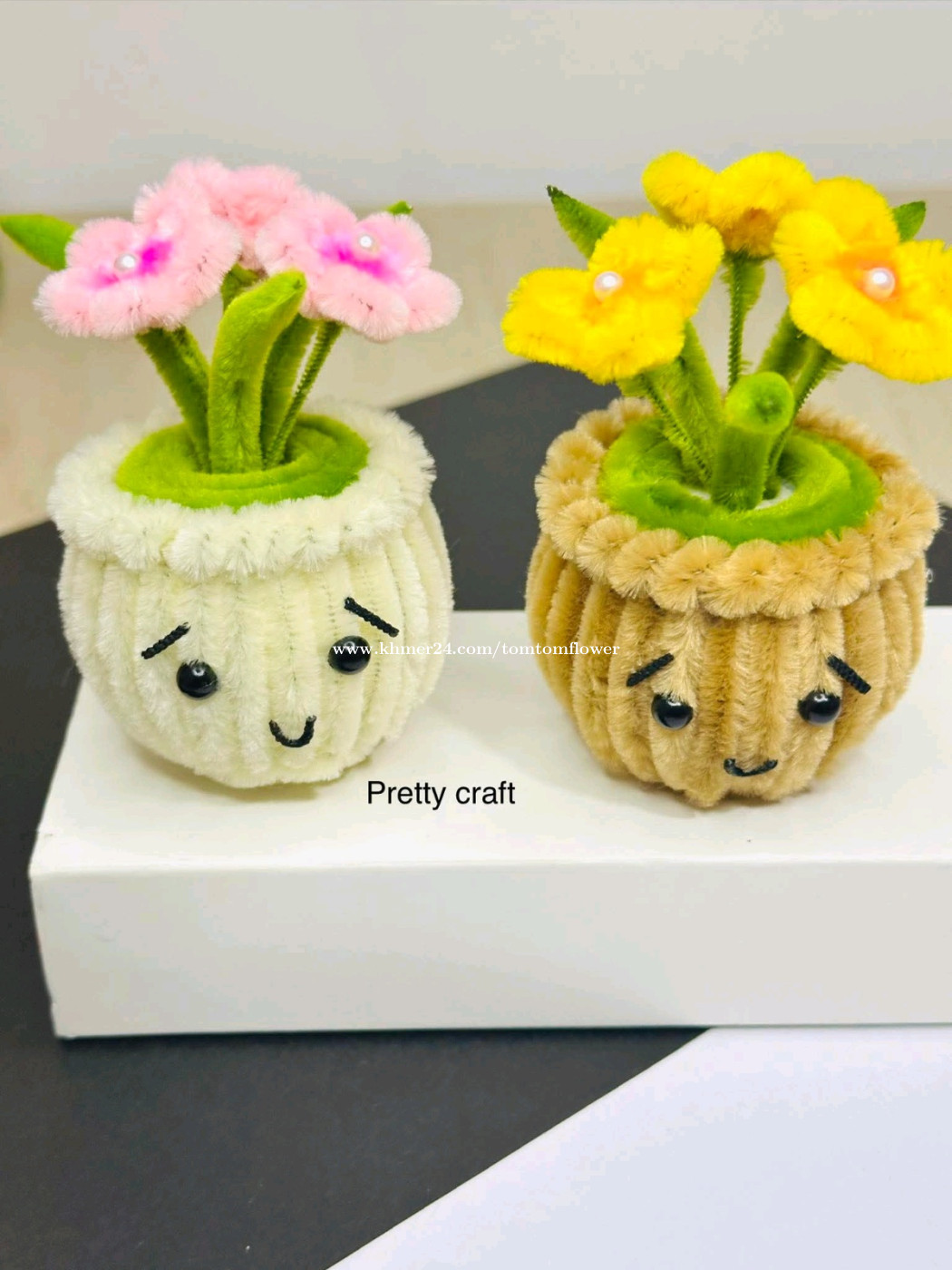 ផ្កាចាក់ថូរខ្យូតៗ