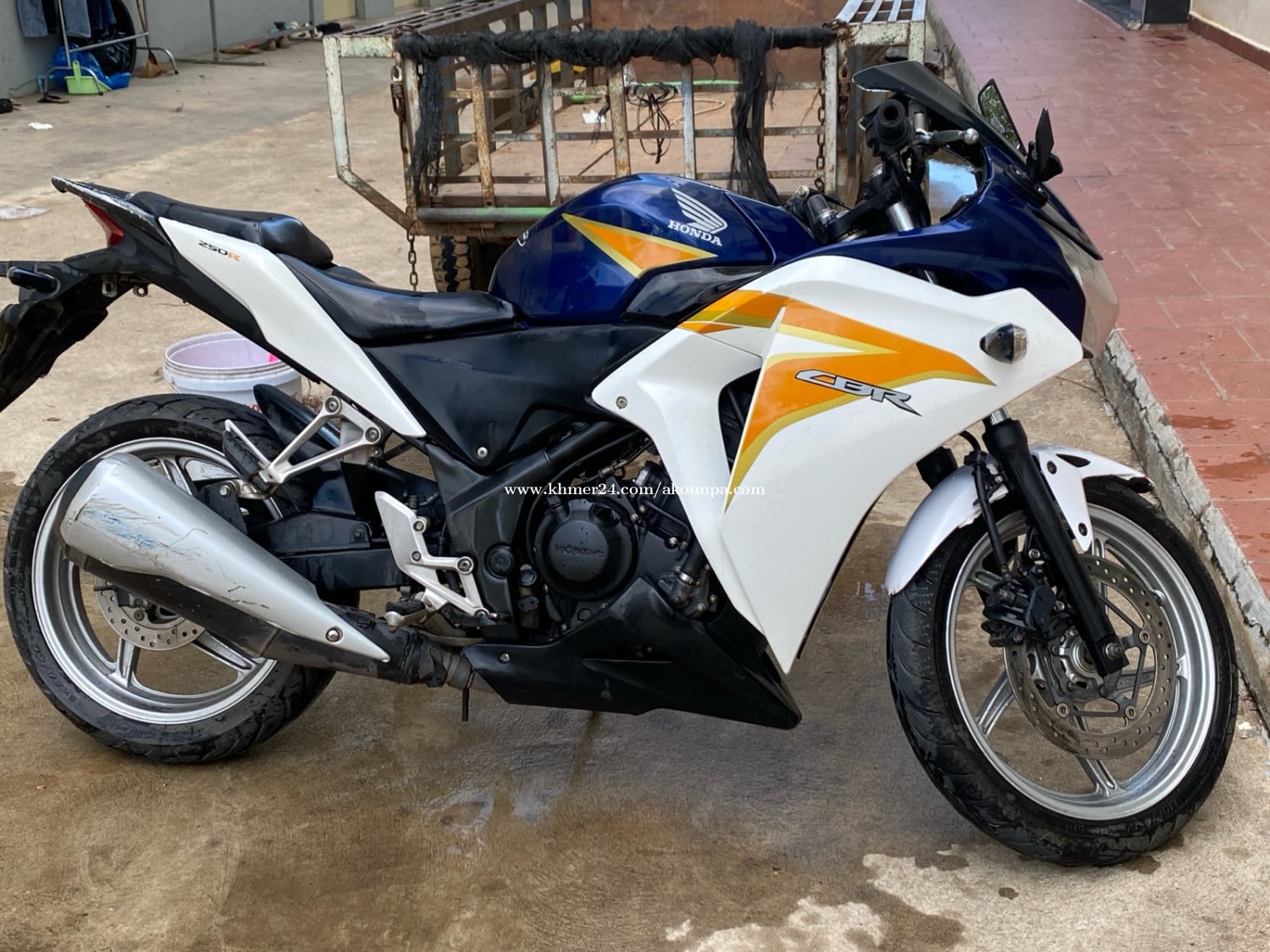 CBR 250R Year 2014 ABS មាន ID ត្រឹមត្រូវ