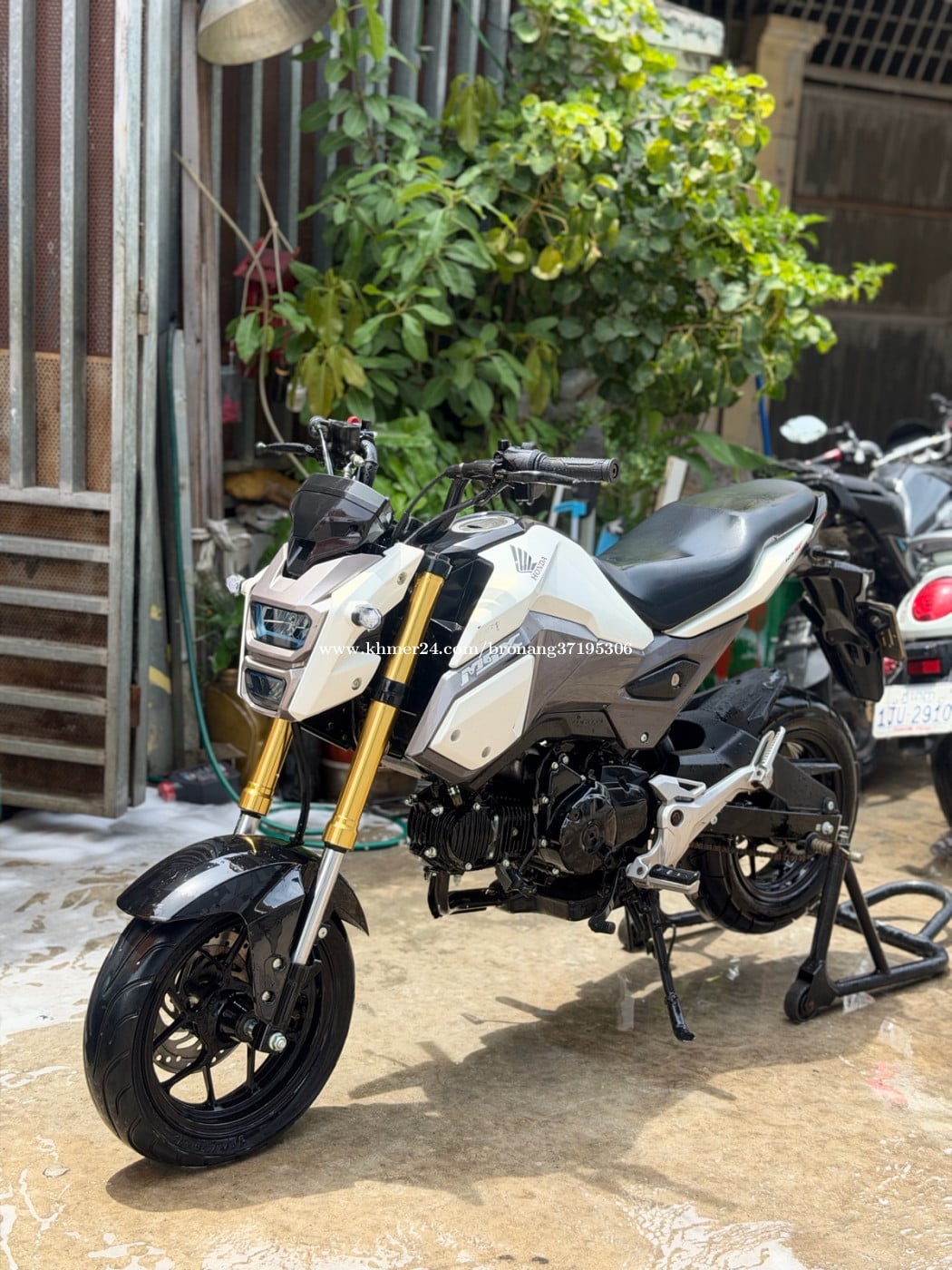Honda MSX 2016