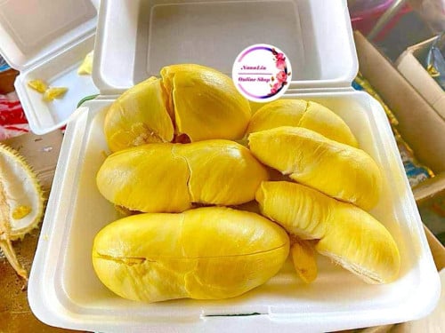 ទុរេនស្រែអំបិល