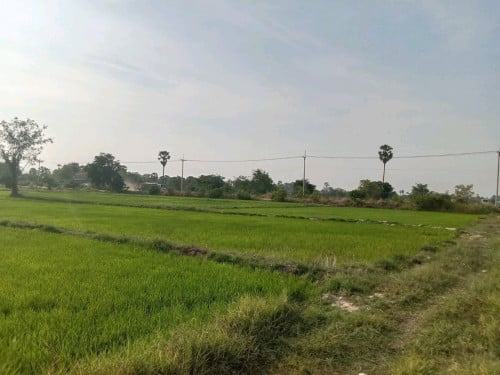 ដីលក់បន្ទាន់៖ នៅស្រុកកណ្តាលស្ទឹង ខេត្តកណ្តាល!