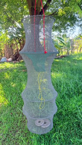 ទ្រុងសំណាញ់ ប្រស់ត្រី