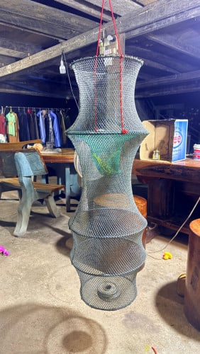 ទ្រុងសំណាញ់ ប្រស់ត្រី