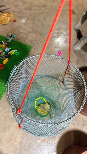 ទ្រុងសំណាញ់ ប្រស់ត្រី