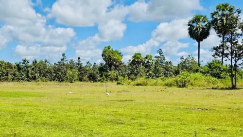 ដីជាប់ស្ទឹងធំលក់បន្ទាន់