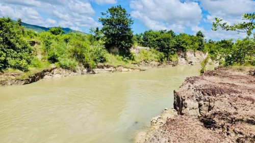 ដីជាប់ស្ទឹងធំលក់បន្ទាន់