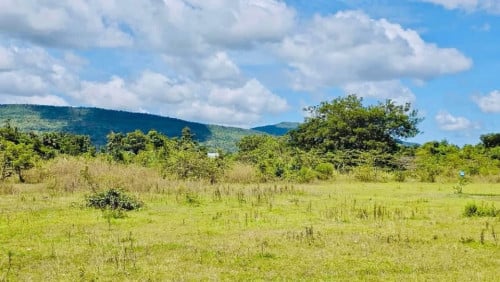 ដីជាប់ស្ទឹងធំលក់បន្ទាន់