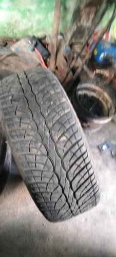 ត្រូវការលក់ប្រញាប់លុយ