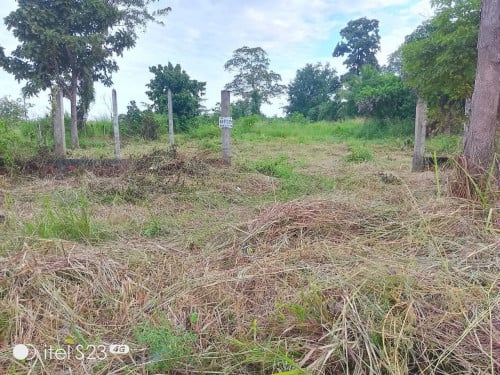 ដីខេត្តព្រះវិហារ លក់បន្ទាន់