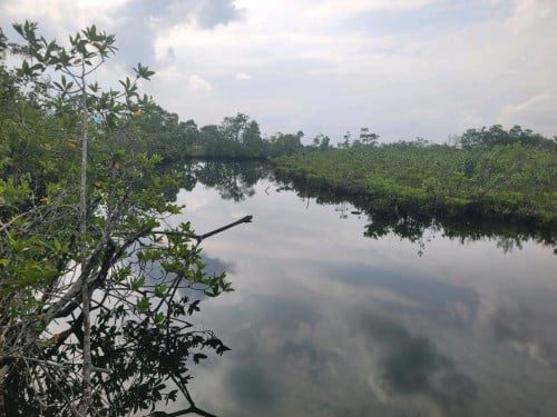 ដីជាប់ព្រែកតម្លៃល្អ ចម្ងាយ 10គីឡូ ពីរឆ្នេរសមុទ្រ