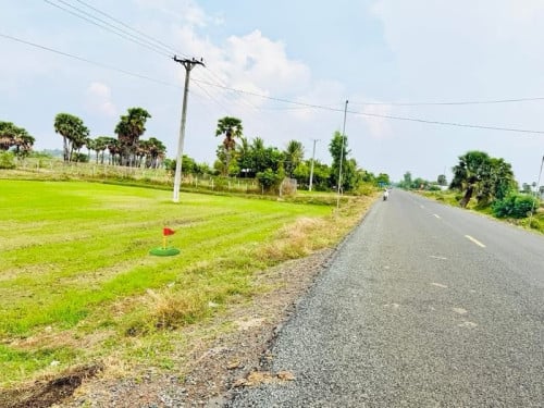ដីលក់លើផ្លូវ141(ផ្លូវរដ្ឋ40ម៉ែត)