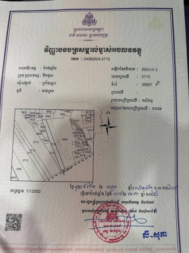 ដីលក់ជាប់ផ្លូវ145(ផ្លូវកៅស៊ូ40ម៉ែត