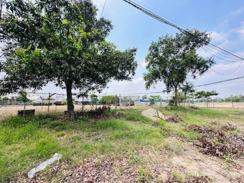 ដីកែង សម្រាប់ជួល ឬ លក់ ជាប់ផ្លូវ 60M (ចន្លោះផ្លូវសម្តេច និង ផ្លូវ217)