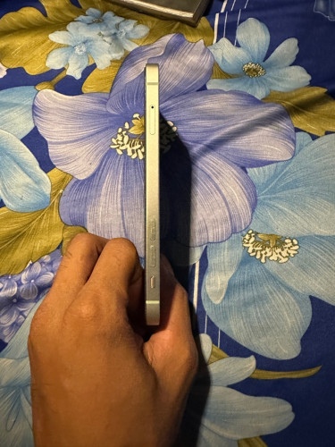 12 សុំណំសុីន 99.99% ខ្ចីញេញ 256G