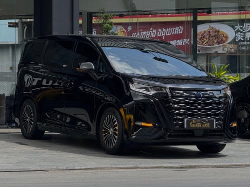 2025 Denza D9 VIP