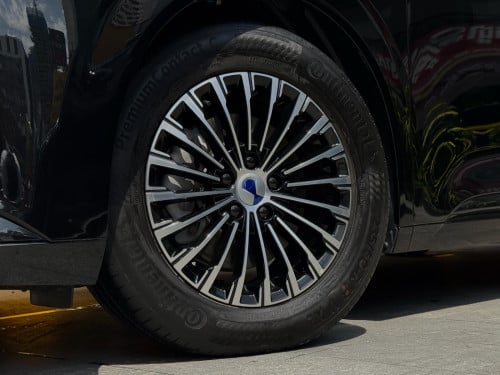 2025 Denza D9 VIP
