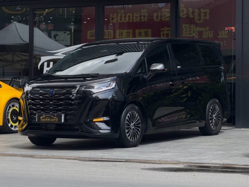 2025 Denza D9 VIP
