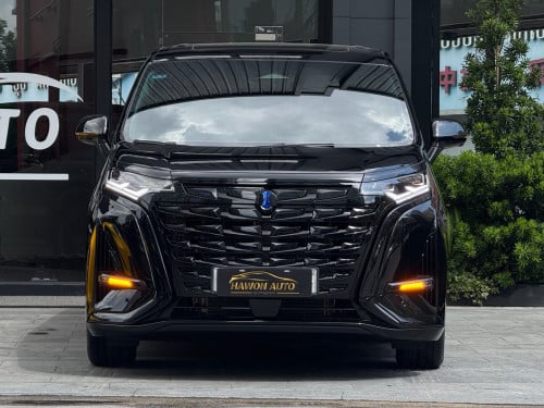 2025 Denza D9 VIP