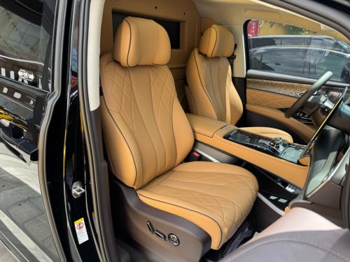 2025 Denza D9 VIP