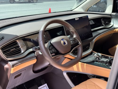 2025 Denza D9 VIP
