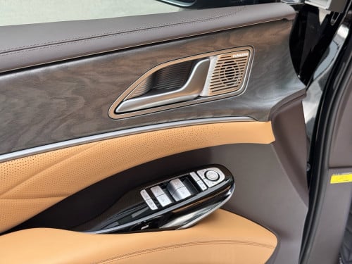 2025 Denza D9 VIP