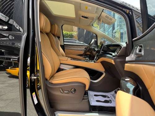 2025 Denza D9 VIP