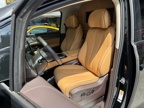 2025 Denza D9 VIP