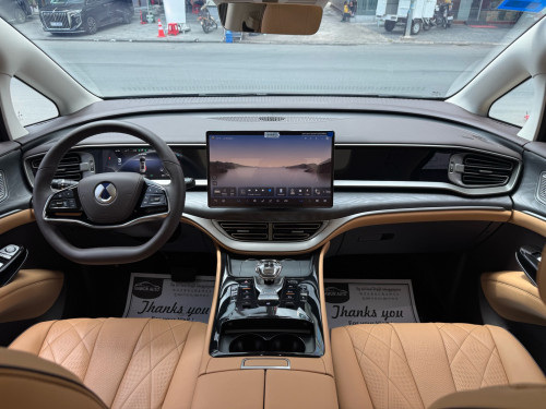 2025 Denza D9 VIP
