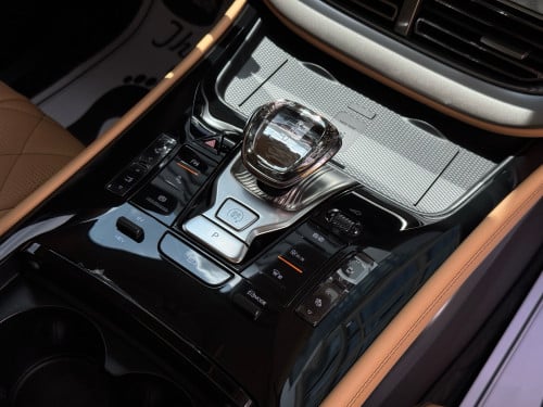 2025 Denza D9 VIP