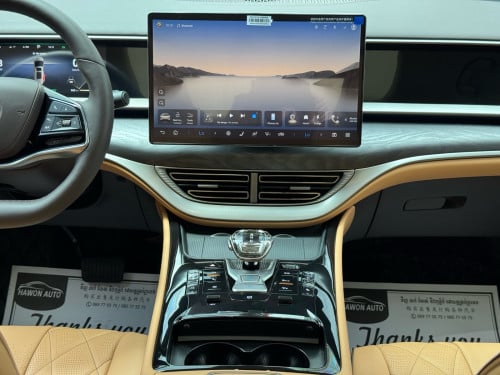2025 Denza D9 VIP