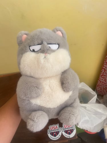Cat plushy