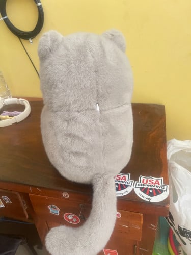 Cat plushy