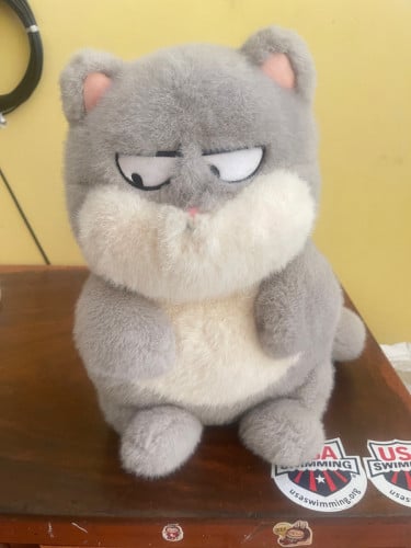 Cat plushy