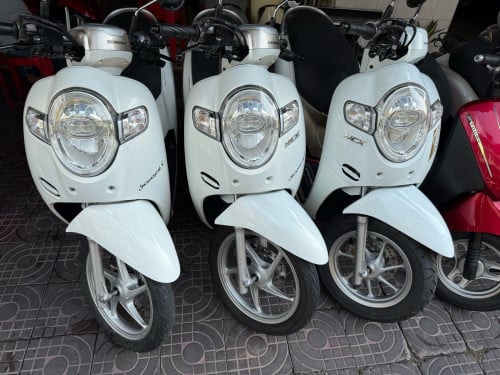 Honda scooyi