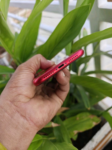 iPhone 11 64G អេក្រង់ហ្សុីន អត់ស្កេន(វៃដូរបាន)👉$125