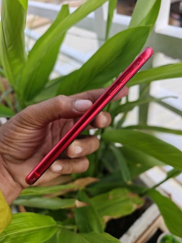iPhone 11 64G អេក្រង់ហ្សុីន អត់ស្កេន(វៃដូរបាន)👉$125