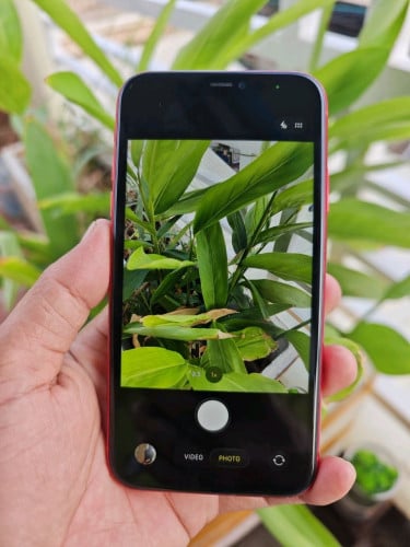 iPhone 11 64G អេក្រង់ហ្សុីន អត់ស្កេន(វៃដូរបាន)👉$125